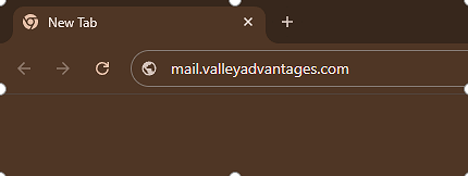 Open a web browser and go to mail.valleyadvantages.com
